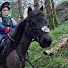 qHxW_sJznjQ-channel-avatar-Tiny Pony Adventures