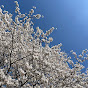 Mom of 4 in Japan | 和禅の暮らし