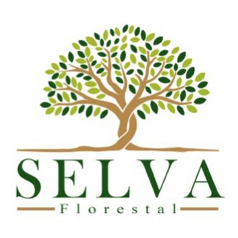 Selva Florestal