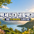 YD2d8DrdZ1U-channel-avatar-백세시대 생활백과