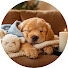 XolViBlGTik-channel-avatar-Sleepy Dog Piano