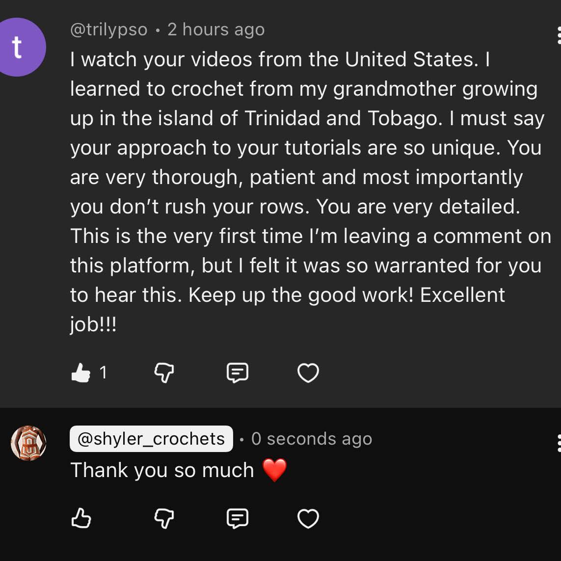 Post from Shyler crochets