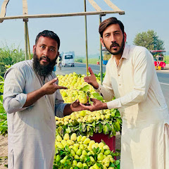 Team Shahzad Ali King 