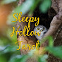 Sleepy Hollow Tarot - @sleepyhollowtarot4901 YouTube Profile Photo
