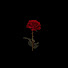 WKfFIrTC0is-channel-avatar-SECRETGARDEN