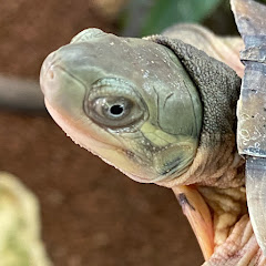 るぱ!!【おもしろ動画集】