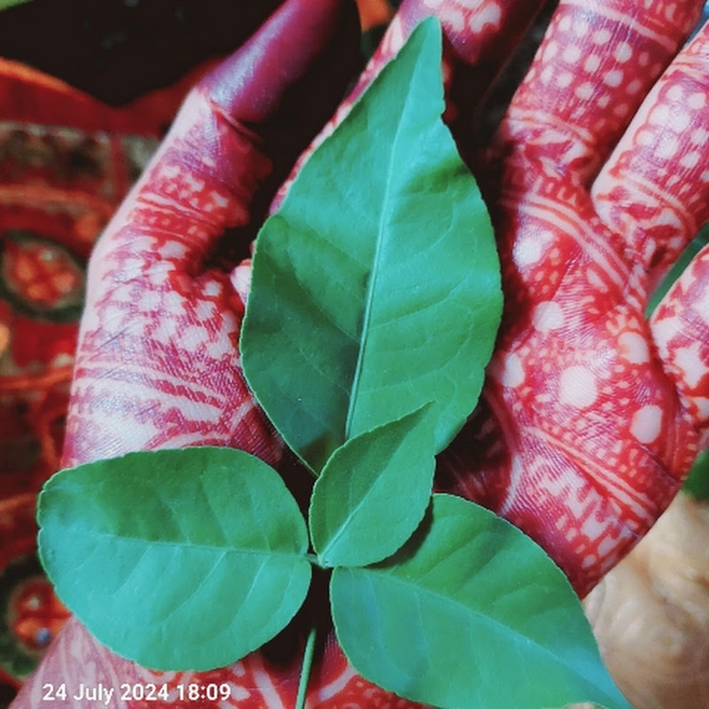 Everything is possible