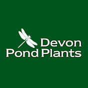 Devon Pond Plants