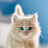 @malakmagde4573
