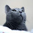 @HJ-nm7lw
