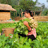 BfPBNceJSf0-channel-avatar-trieu thị senh