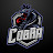 COBRA Gaming