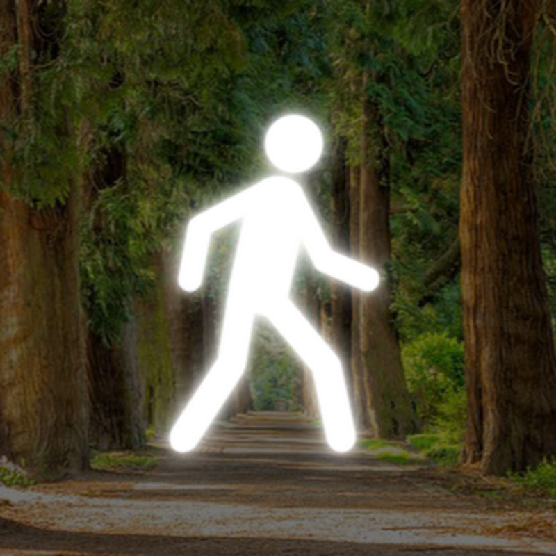 Kyu Virtual Walk