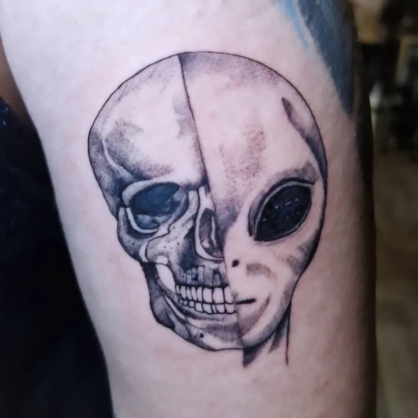 Post from Black Alien Project Official