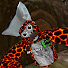 yMX8bBTvTqY-channel-avatar-Ap3xVr