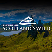 Scotland's Wild