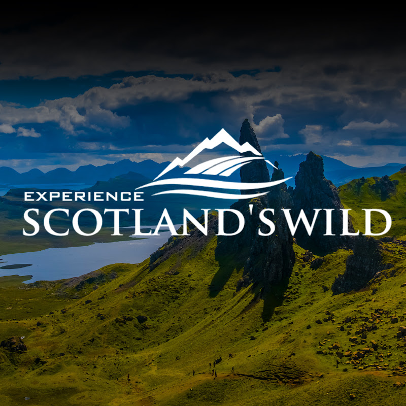 Scotland's Wild channel avatar