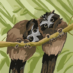 渡辺アイコン画像