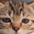 6LLhTlbXIK0-channel-avatar-Doublex_x