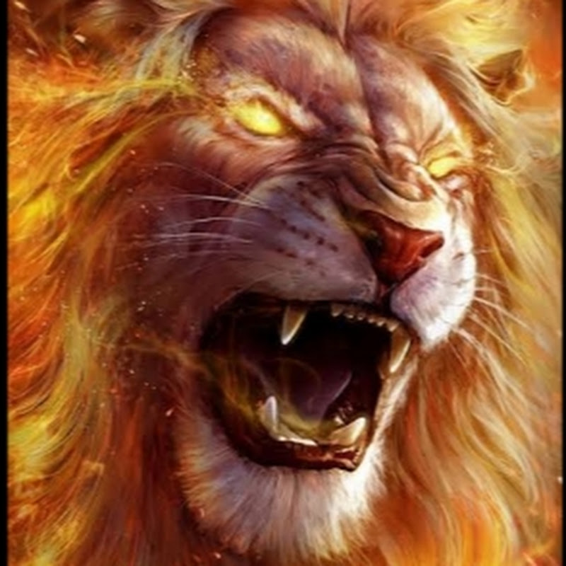 Tranding Release G M