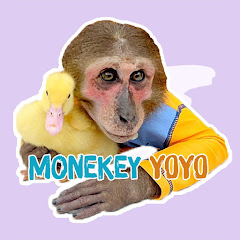  Monkey YoYo  Avatar