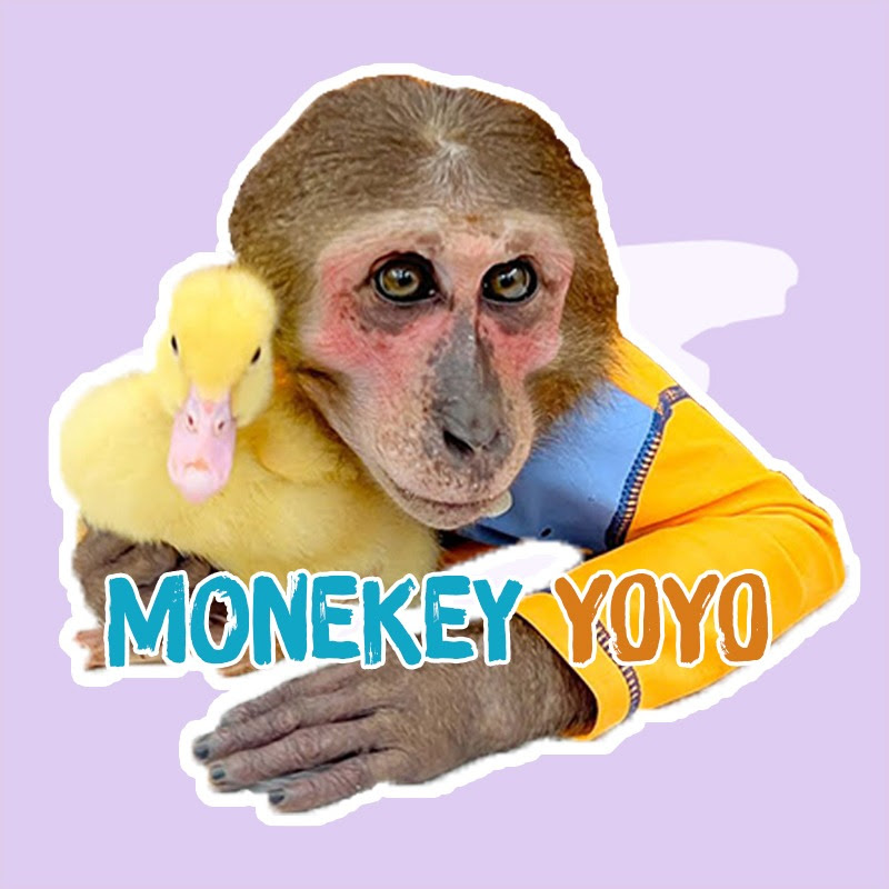  Monkey YoYo 
