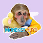  Monkey YoYo 