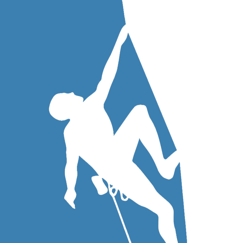 The Climbing Doctor cover art
