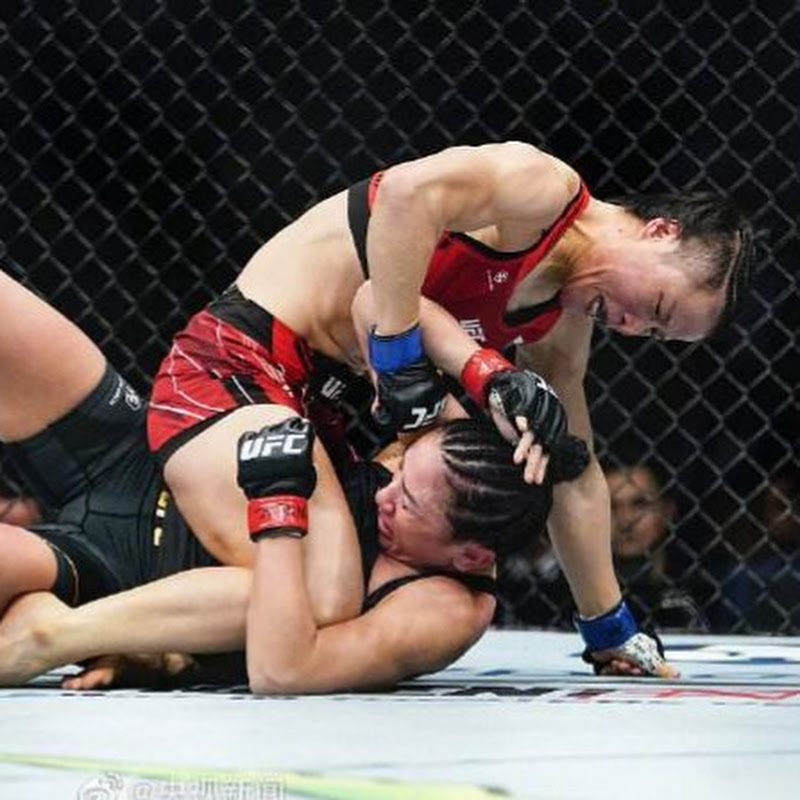 刚子格斗解说 Logo