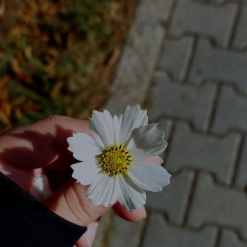 Hire @first flight status video — Mental Health Journey & Awareness YouTube creator for sponsorships