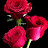 @نورروان-ت7ج