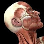 Active Anatomist - @jillgoodman YouTube Profile Photo