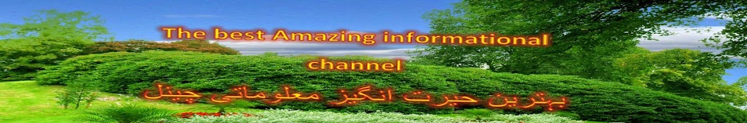 Amazing Informations यूट्यूब चैनल अवतार