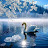 @uzifosheezy1781 Avatar