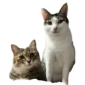 栗まんじゅうと小て丸水産