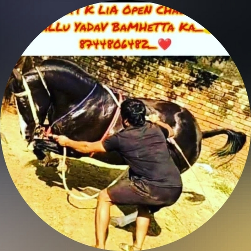 Total 3D comedy 🎥