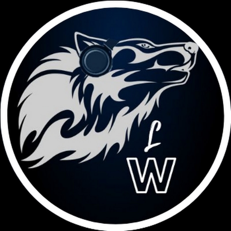LWINCER GAMING