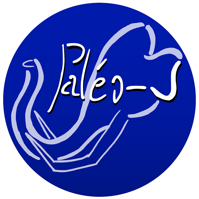 Paléo-J
