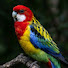 jmUPJKaERtw-channel-avatar-A&B of Nature, Wildlife & more
