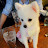 @sy-qs7in