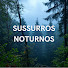 2wa1qLZmQdA-channel-avatar-Sussurros Noturnos