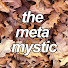 OYptyPid704-channel-avatar-the meta mystic