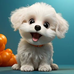 Cute puppy World 