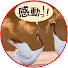 RJ-8_Nza59w-channel-avatar-感動 鶴の恩返し