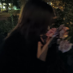 NİNA YAYIN