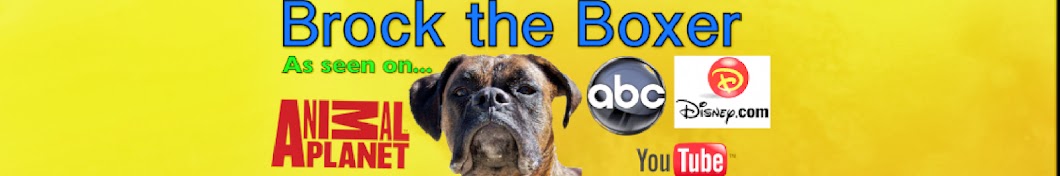 BrocktheBoxer Pup YouTube channel avatar
