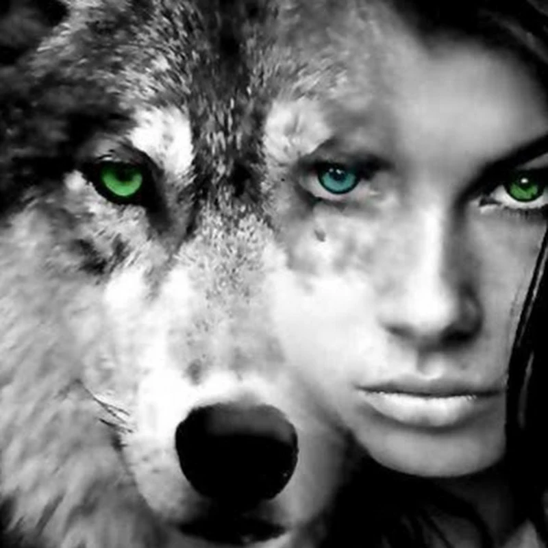 The Black Cat Studio Project Lone Wolf productions