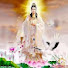 T_LfOME5EIY-channel-avatar-Enlightened Lotus TV