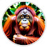 YQK9M63kq1c-channel-avatar-Animal Stories Survival
