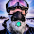 H4lOGzzhYwQ-channel-avatar-Dino Lanzaretti